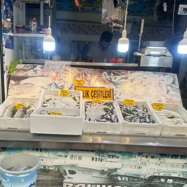 Munzur Balıkçısı 